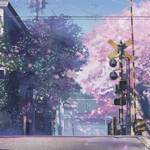 农民工棚户区交易视频记录
